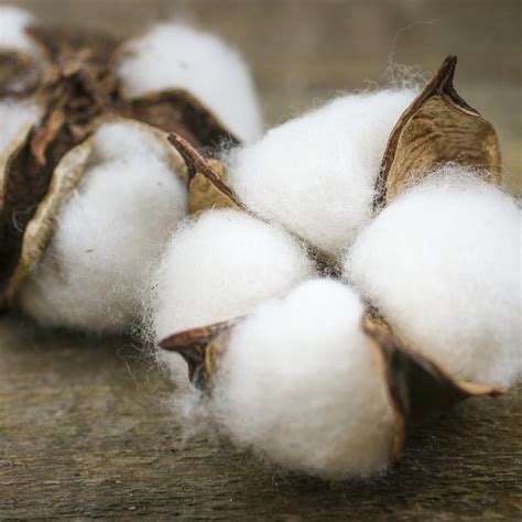 bag of fake cotton bowls|where to buy cotton bolls.